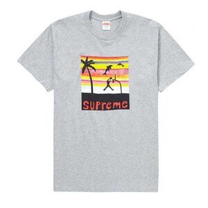 Supreme Dunk Tee Heather Grey Large